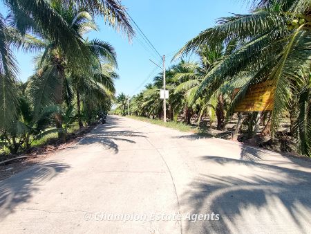 ขาย ที่ดิน สวนมะพร้าว พร้อมบ้านพัก
ติดถนนสาธารณะ จังหวัดราชบุรี
4ไร่, ภาพที่ 4