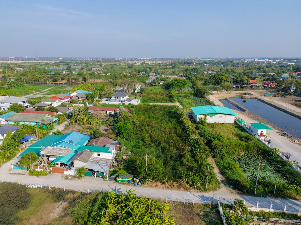 ขาย ที่ดิน ถูกที่สุดในย่านนี้ ซ.ขุมทอง-ลำต้อยติ่ง แยก1 ลาดกระบัง 1 ไร่, ภาพที่ 4