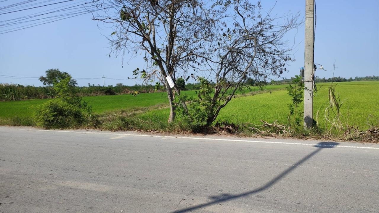 Land for sale 51 rai Road 3047 Lamlad-Ladbua Bangtoei Sam Khok Pathum Thani Pathum Thani