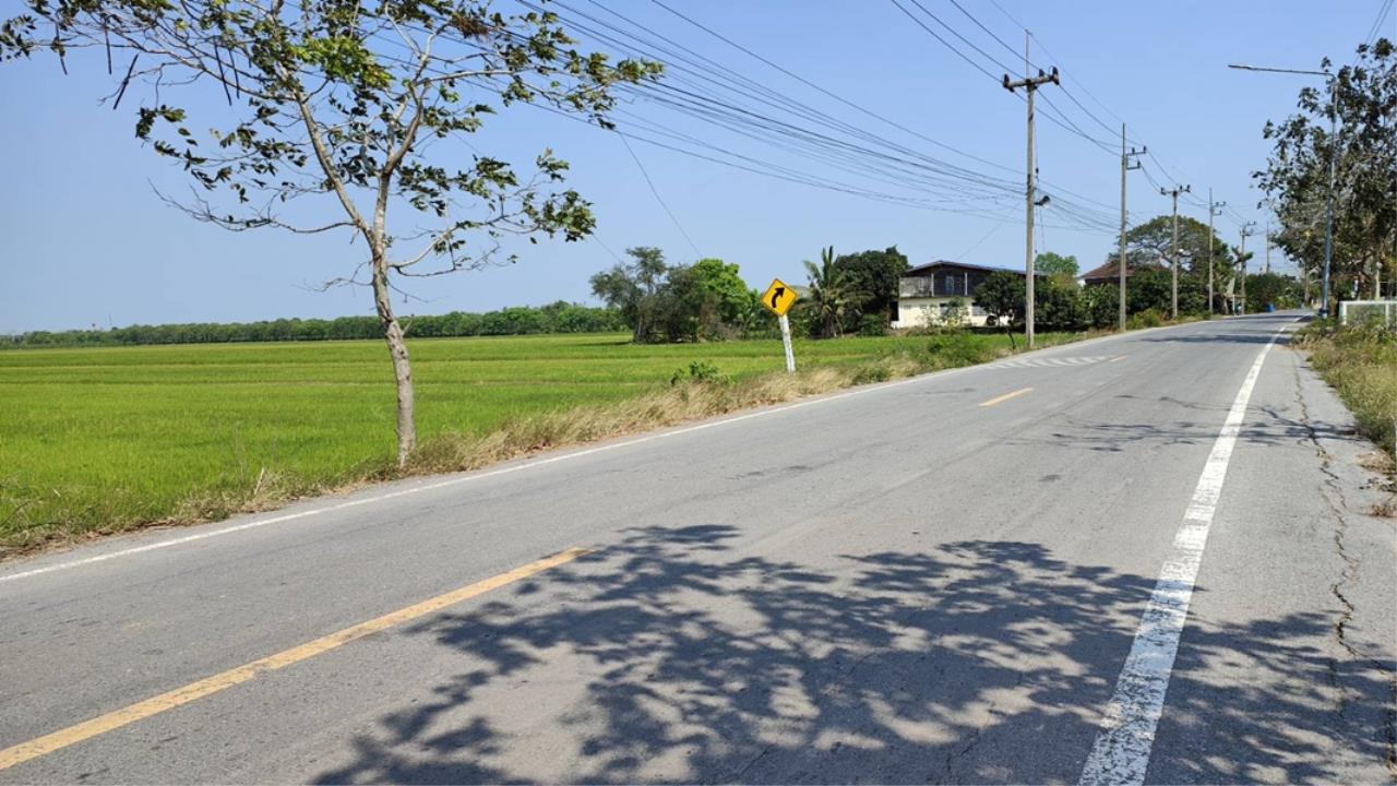 Land for sale 51 rai Road 3047 Lamlad-Ladbua Bangtoei Sam Khok Pathum, ภาพที่ 4