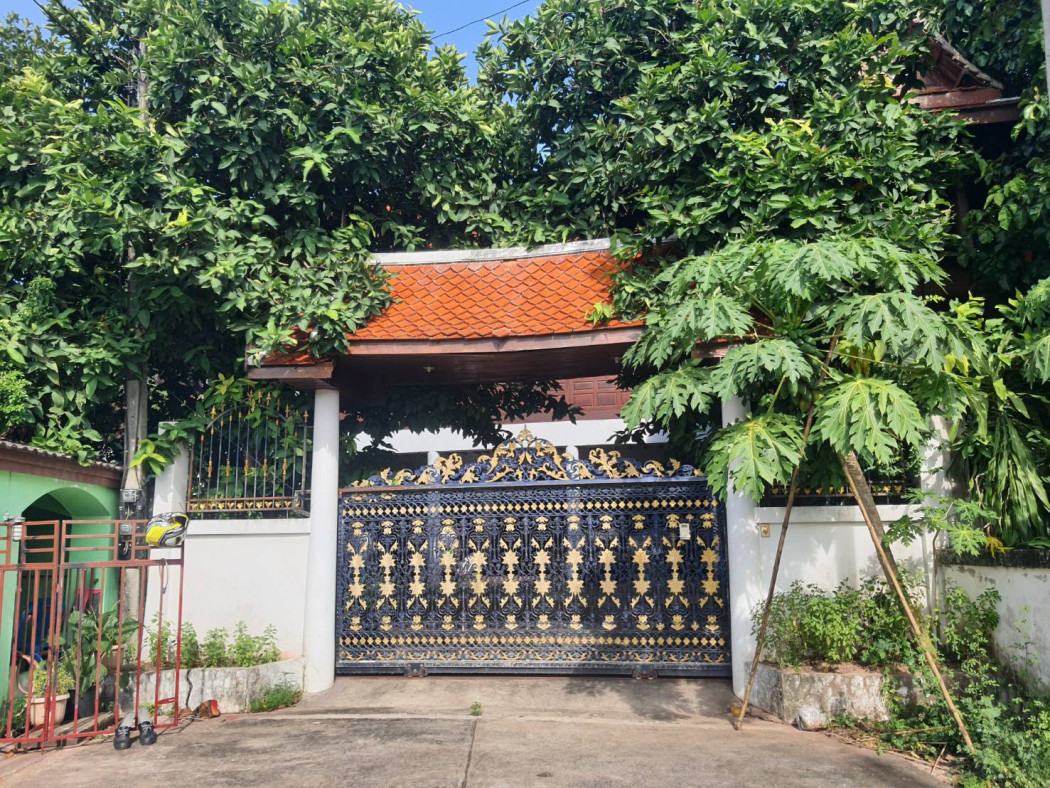 ขายบ้านทรงไทยพร้อมที่ดิน 144 ตรว. 3ห้องนอน 2ห้องน้ำ พร้อมต้นไม้แดง ไม้มะค่าโมง ไม้สัก
