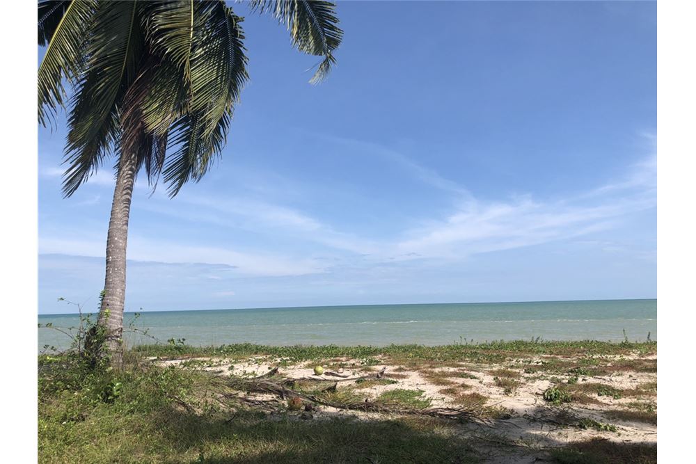 REMAX ID RE003  Affordable beach land in upcoming Tha Sala Nakhon Si Thammarat Great land size and dimensions perfect fo