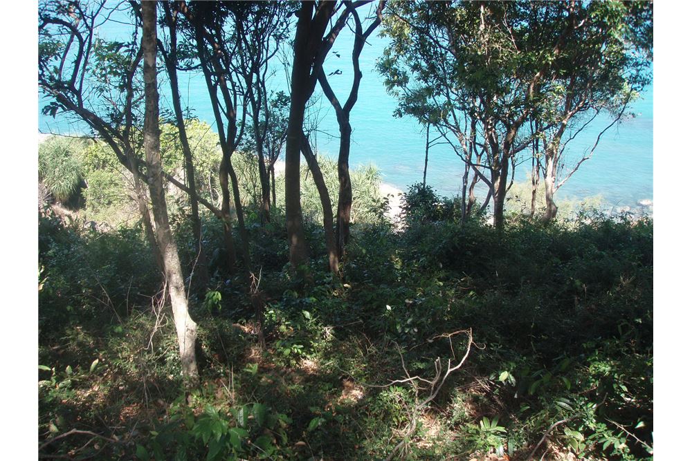 Land for sale connected to the sea in Plai Laem, ภาพที่ 4