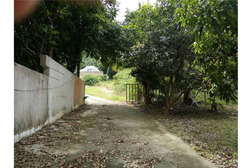 The perfect land for sale in Mae Nam, ภาพที่ 4