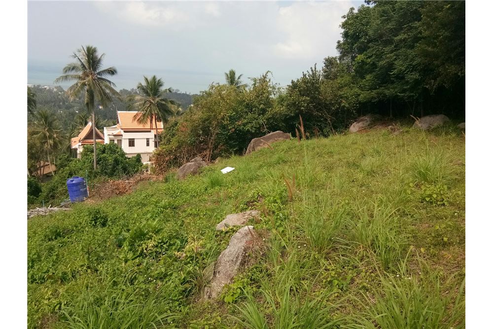 Sea view land for sale in Nathon, ภาพที่ 4