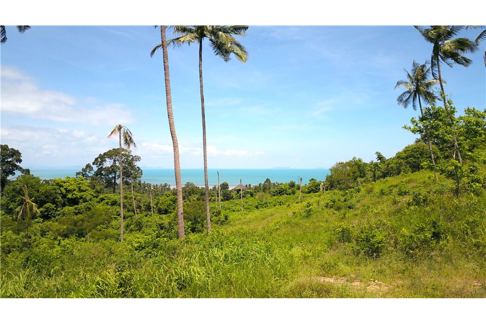 Sea view land for sale in Ang Thong, ภาพที่ 4