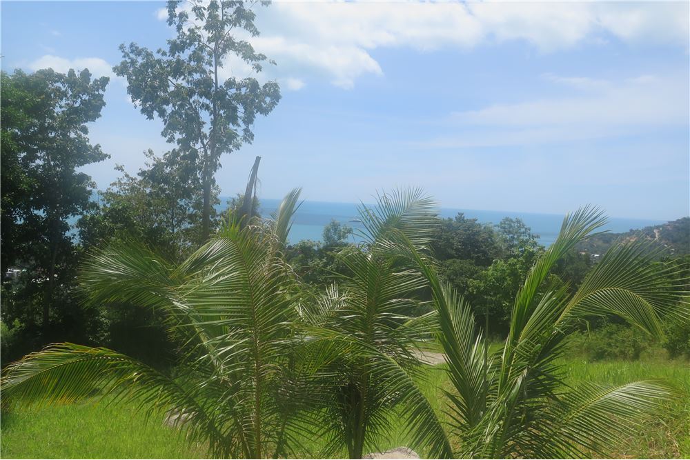 180 Degrees sea view land for Sale in Chaweng, ภาพที่ 4
