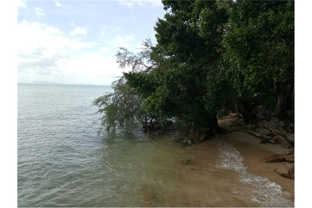 Beachfront Land for sale in Ang Thong, ภาพที่ 4