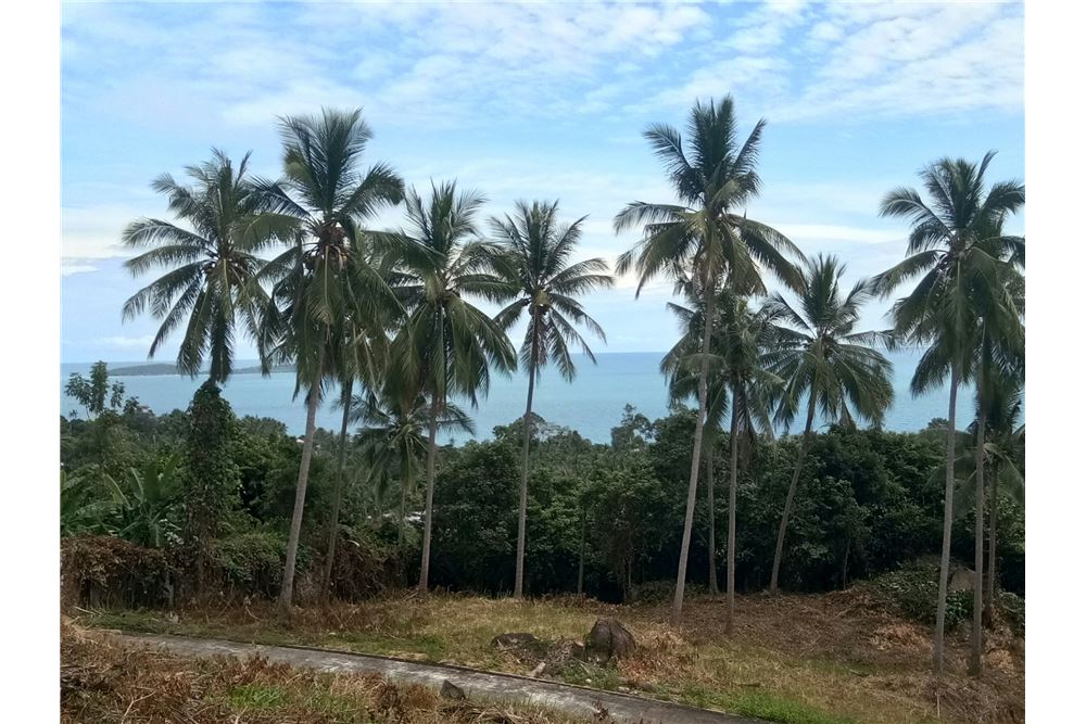 Big land for sale in Chaweng