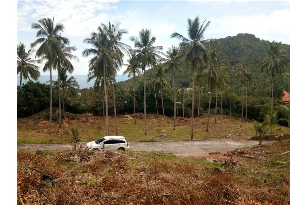 Big land for sale in Chaweng, ภาพที่ 4