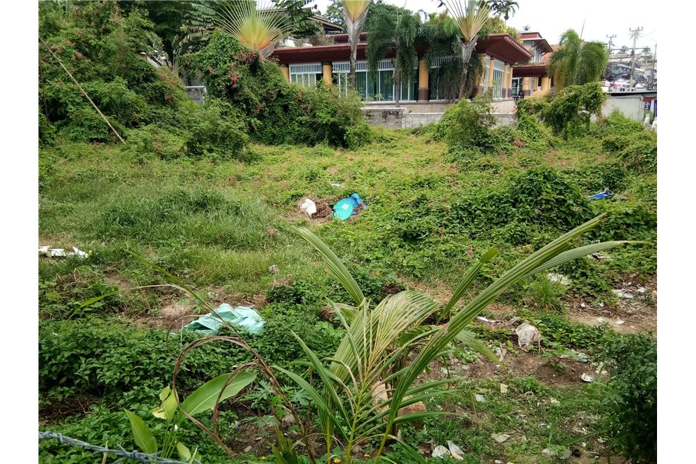 Sea view land for sale in Chaweng, ภาพที่ 4