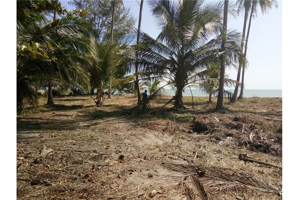 Beach Land for sale in Hua Tanon, ภาพที่ 4