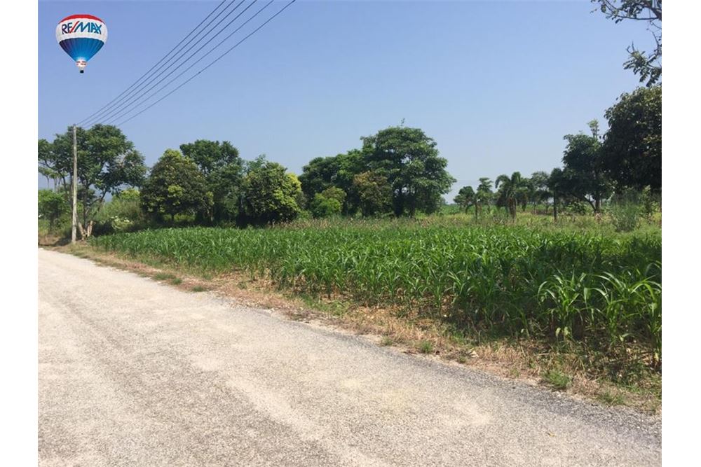 #Land for sale in Mae Chan District Chiang Rai Province Good atmosphere natural Mountain views With a river behind The w