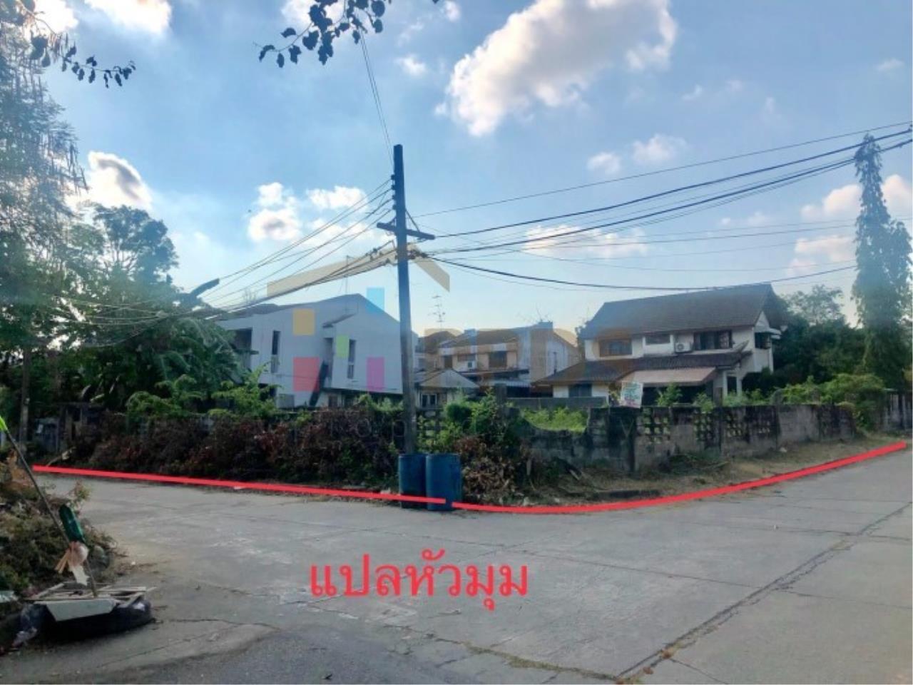 Land for sale 133 sqwah Sukhumvit 101 Punnawithi in the residential area, ภาพที่ 1