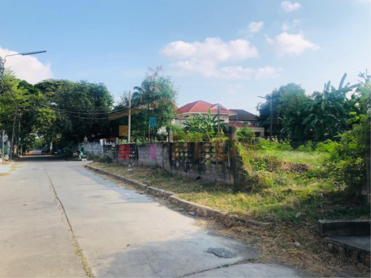 Land for sale 133 sqwah Sukhumvit 101 Punnawithi in the residential area, ภาพที่ 3