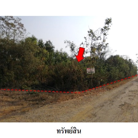 ขาย ที่ดิน ตำบลบ่อไทย อำเภอหนองไผ่ จังหวัดเพชรบูรณ์, ภาพที่ 4