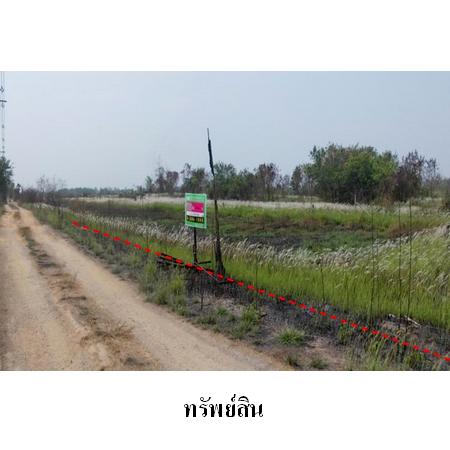 ขาย ที่ดิน ตำบลบึงน้ำรักษ์ อำเภอธัญบุรี จังหวัดปทุมธานี