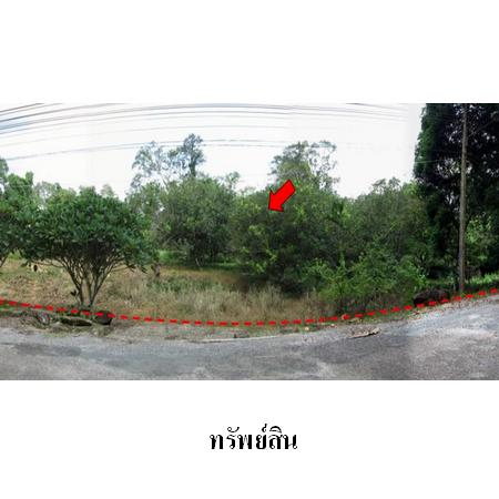 ขาย ที่ดิน ตำบลพลวง อำเภอเขาคิชฌกูฏ จังหวัดจันทบุรี, ภาพที่ 4