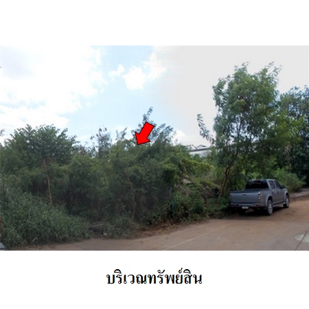ขาย ที่ดิน ตำบลคลองหนึ่ง อำเภอคลองหลวง จังหวัดปทุมธานี, ภาพที่ 4