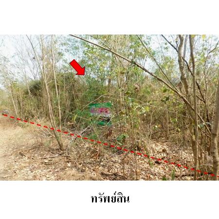ขาย ที่ดิน ตำบลบึงกระจับ อำเภอวิเชียรบุรี จังหวัดเพชรบูรณ์, ภาพที่ 4