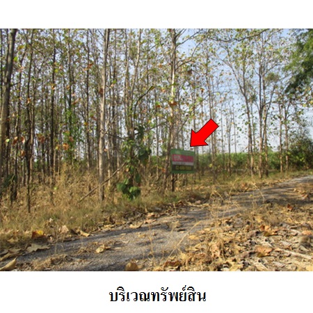 ขาย ที่ดิน ตำบลหนองเมือง อำเภอบ้านหมี่ จังหวัดลพบุรี, ภาพที่ 4