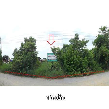 ขาย ที่ดิน แขวงโคกแฝด เขตหนองจอก กรุงเทพมหานคร, ภาพที่ 4