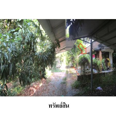 ขาย บ้าน ตำบลหนองบัว อำเภอเมืองจันทบุรี จังหวัดจันทบุรี, ภาพที่ 4