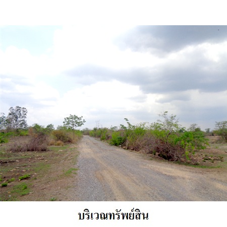 ขาย ที่ดิน ตำบลลำนารายณ์ อำเภอชัยบาดาล จังหวัดลพบุรี, ภาพที่ 4