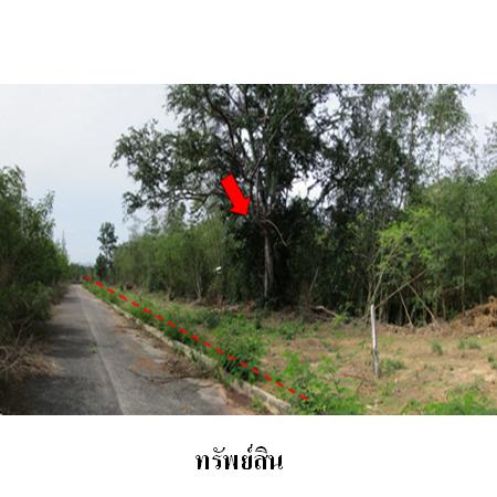 ขาย ที่ดิน ตำบลสามพระยา อำเภอชะอำ จังหวัดเพชรบุรี, ภาพที่ 4