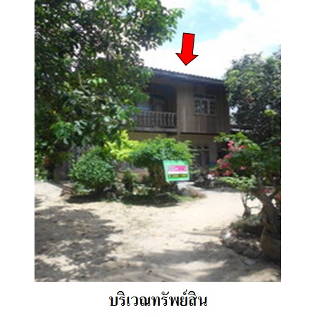 ขาย บ้าน ตำบลตะบิ้ง อำเภอสายบุรี จังหวัดปัตตานี, ภาพที่ 4