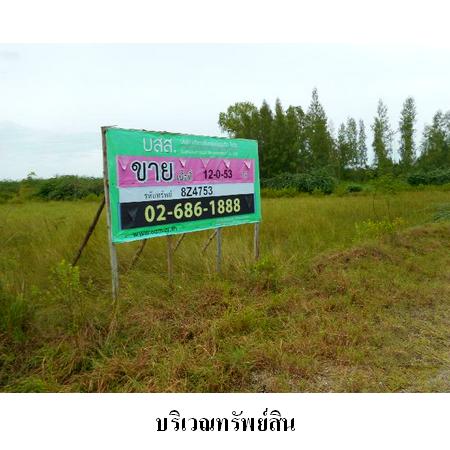 ขาย ที่ดิน ตำบลปึกเตียน อำเภอท่ายาง จังหวัดเพชรบุรี, ภาพที่ 4