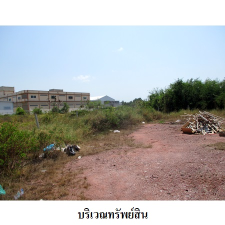 ขาย ที่ดิน แขวงแสมดำ เขตบางขุนเทียน กรุงเทพมหานคร, ภาพที่ 4