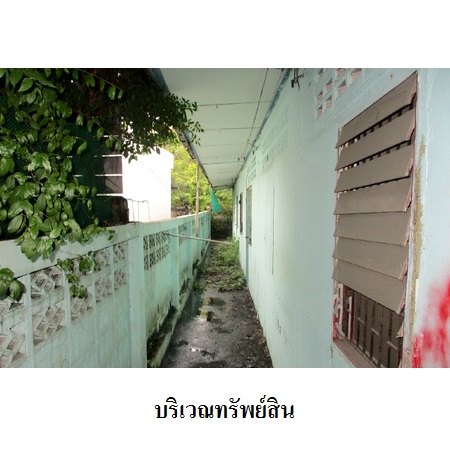 ขาย บ้าน แขวงหนองค้างพลู เขตหนองแขม กรุงเทพมหานคร, ภาพที่ 5