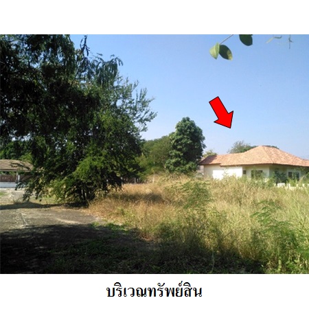 ขาย บ้าน ตำบลหนองตาแต้ม อำเภอปราณบุรี จังหวัดประจวบคีรีขันธ์, ภาพที่ 4