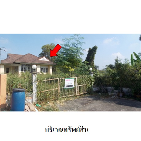 ขาย บ้าน แขวงลำผักชี เขตหนองจอก กรุงเทพมหานคร, ภาพที่ 4