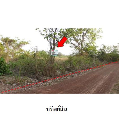 ขาย ที่ดิน ตำบลบ้านจันทน์ อำเภอบ้านดุง จังหวัดอุดรธานี, ภาพที่ 4