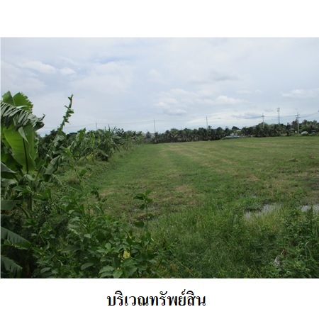 ขาย ที่ดิน แขวงหนองค้างพลู เขตหนองแขม กรุงเทพมหานคร, ภาพที่ 4
