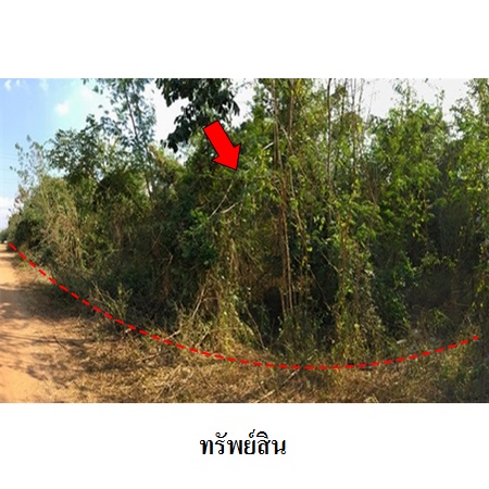 ขาย ที่ดิน ตำบลกล้วยแพะ อำเภอเมืองลำปาง จังหวัดลำปาง, ภาพที่ 4