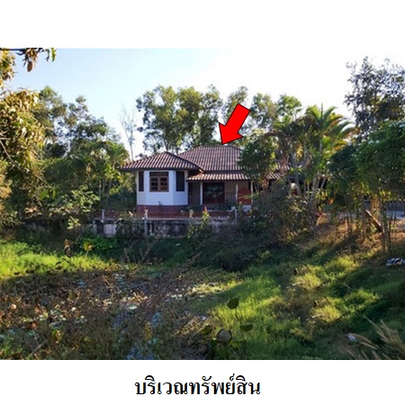 ขาย บ้าน ตำบลบ้านกรวด อำเภอบ้านกรวด จังหวัดบุรีรัมย์, ภาพที่ 4