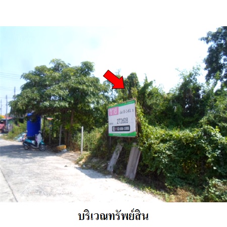 ขาย ที่ดิน ตำบลถนนใหญ่ อำเภอเมืองลพบุรี จังหวัดลพบุรี, ภาพที่ 4