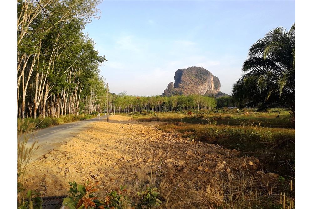 Prime Building Land For Sale In Klong Son
