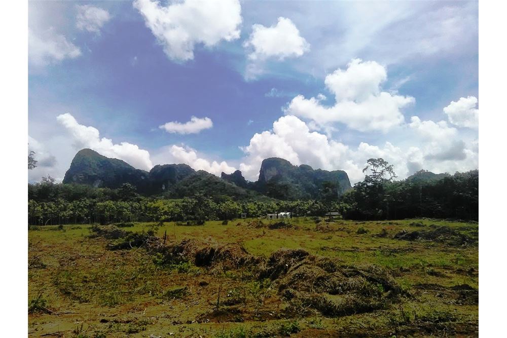There are two land plots with views to limestone cliffs located in Nong Thale Krabi close to Krabi International School 