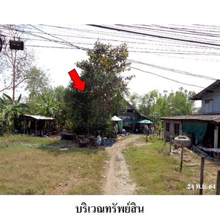ขาย บ้าน ตำบลบึงน้ำรักษ์ อำเภอธัญบุรี จังหวัดปทุมธานี, ภาพที่ 4