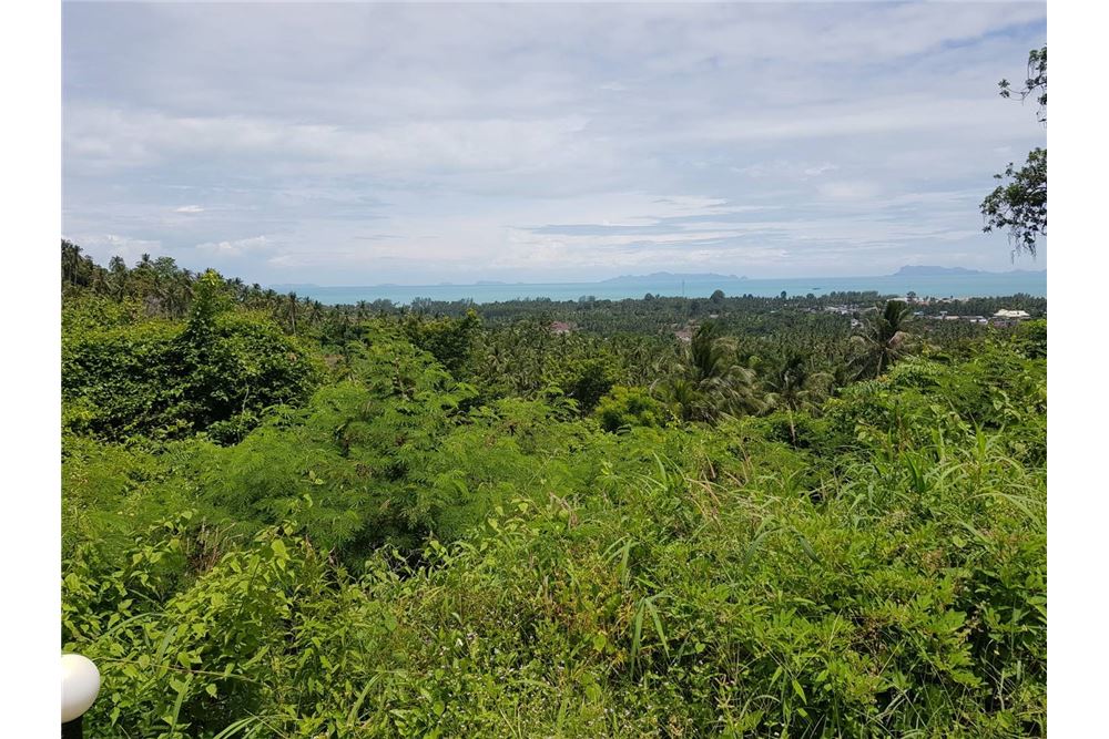 REMAX ID RS016 Beautiful plot of Sea-view Land for Sale From 13 million baht now only 125 million baht Title deed Chanot