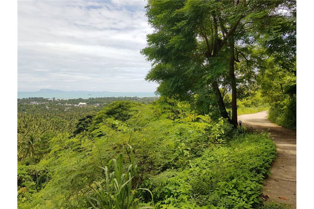 REMAX ID RS016 Beautiful plot of Sea-view Land for Sale From 13 million, ภาพที่ 4