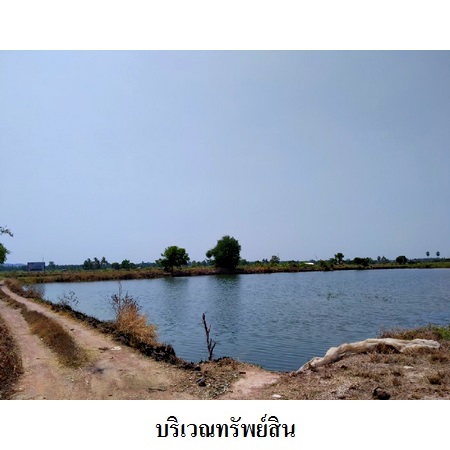 ขาย ที่ดิน ตำบลรางหวาย อำเภอพนมทวน จังหวัดกาญจนบุรี, ภาพที่ 4