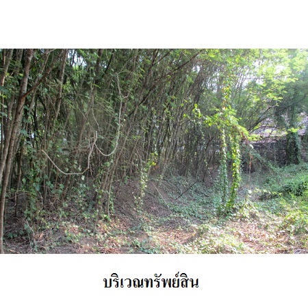 ขาย ที่ดิน แขวงศาลาธรรมสพน์ เขตทวีวัฒนา กรุงเทพมหานคร, ภาพที่ 4