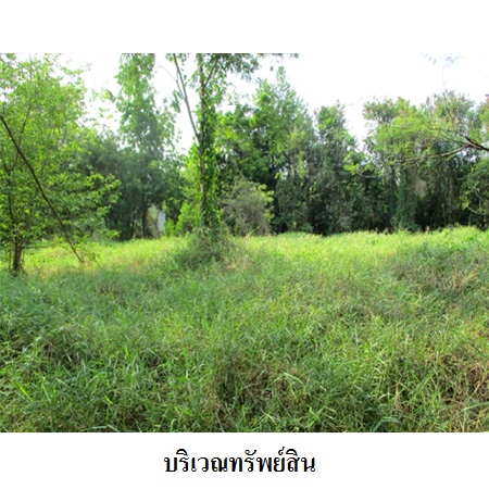 ขาย ที่ดิน แขวงศาลาธรรมสพน์ เขตทวีวัฒนา กรุงเทพมหานคร, ภาพที่ 4