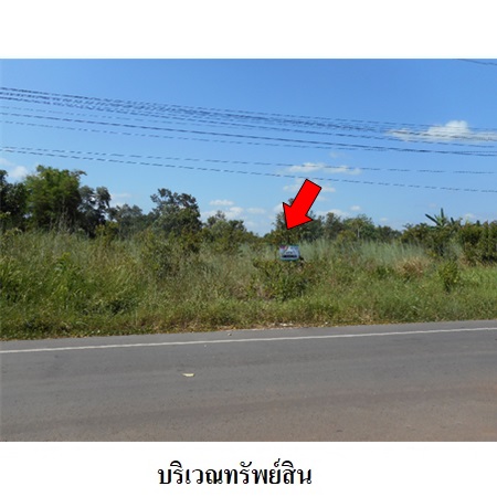 ขาย ที่ดิน ตำบลนาราชควาย อำเภอเมืองนครพนม จังหวัดนครพนม, ภาพที่ 4