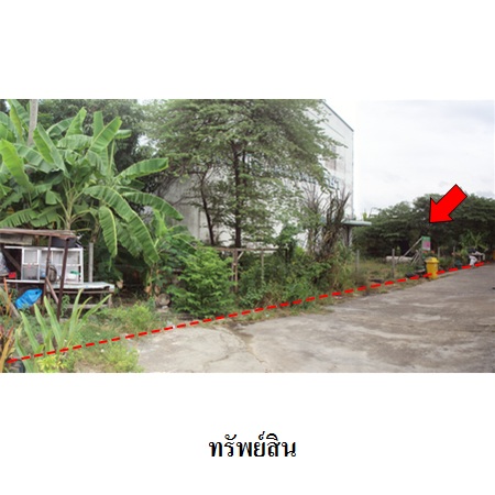 ขาย ที่ดิน แขวงหนองค้างพลู เขตหนองแขม กรุงเทพมหานคร, ภาพที่ 4